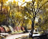 Jackson Hensley Gallery: Image